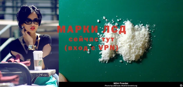 индика Алзамай