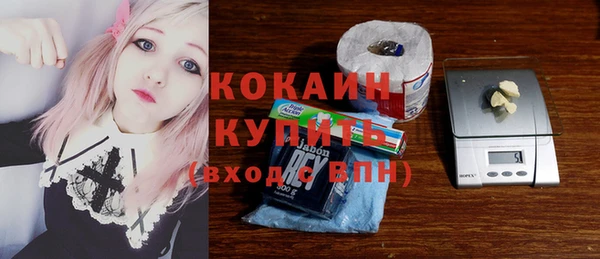 тгк Алексин