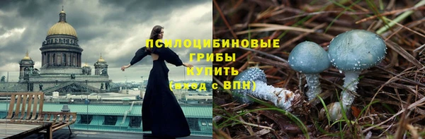 тгк Алексин