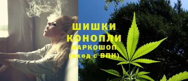индика Алзамай