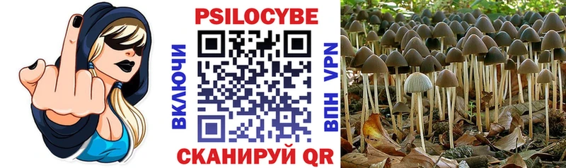 blacksprut ссылка  Енисейск  Псилоцибиновые грибы прущие грибы 